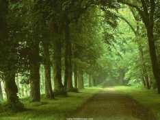 Nature5689