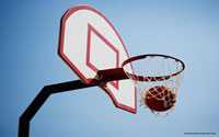 Basketball 200x215